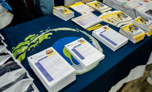 XII Всероссийская Школа по детской урологии-андрологии. 4 апреля 2024 года. День 1-й