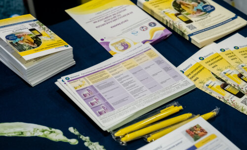 XII Всероссийская Школа по детской урологии-андрологии. 4 апреля 2024 года. День 1-й