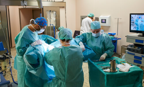 Cеминар «Интегральная теория в хирургии тазового дна: от анатомии к функции»