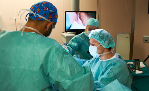 Cеминар «Интегральная теория в хирургии тазового дна: от анатомии к функции»