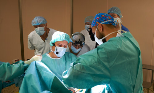 Cеминар «Интегральная теория в хирургии тазового дна: от анатомии к функции»