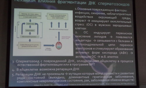 2-я Южно-Российская междисциплинарная конференция по репродукции "Инновационные технологии охраны репродуктивного здоровья"