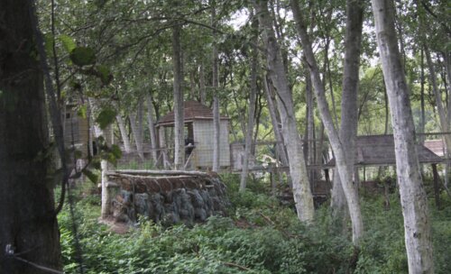 1-й Конгресс урологов по пейнтболу «Актуальные вопросы пейнтбола в уроандрологии»