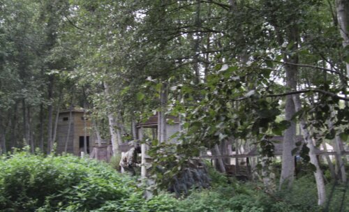 1-й Конгресс урологов по пейнтболу «Актуальные вопросы пейнтбола в уроандрологии»