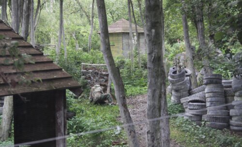 1-й Конгресс урологов по пейнтболу «Актуальные вопросы пейнтбола в уроандрологии»