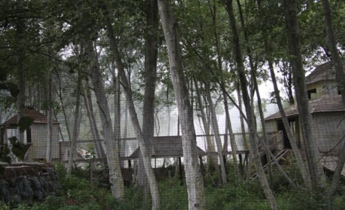 1-й Конгресс урологов по пейнтболу «Актуальные вопросы пейнтбола в уроандрологии»