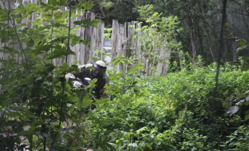 1-й Конгресс урологов по пейнтболу «Актуальные вопросы пейнтбола в уроандрологии»