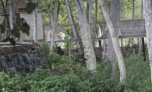 1-й Конгресс урологов по пейнтболу «Актуальные вопросы пейнтбола в уроандрологии»