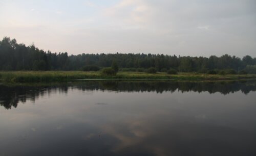 1-й Конгресс урологов по пейнтболу «Актуальные вопросы пейнтбола в уроандрологии»