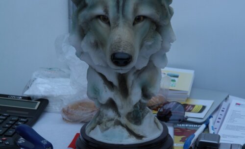 2 день XIV Конгресса Российского общества урологов «Интеграция в урологии»