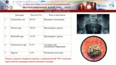 Малинин Г.Ю. - Лечение гиперплазии предстательной железы и конкрементов мочевого пузыря