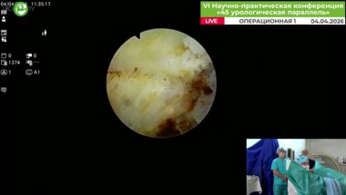 Болгов Е.Н. - MiLEP