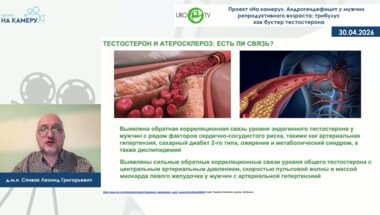 Ширанов К.А., Спивак Л.Г. - Андрогендефицит у мужчин репродуктивного возраста: трибулус как бустер тестостерона