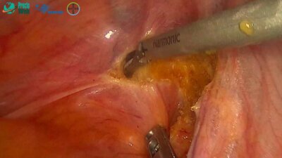 Маркарьян Д.Р. - Видеосессия