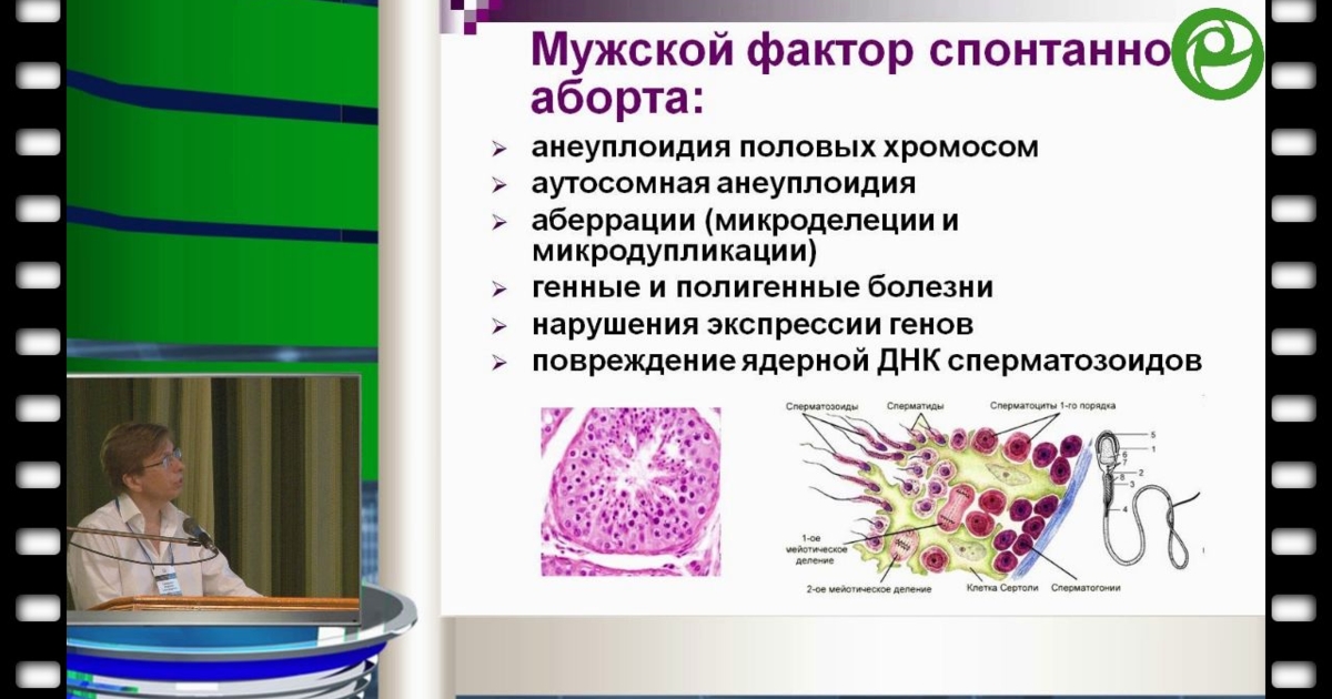 Профилактика заболеваний репродуктивной системы тест. Урология и беременность методическое. Мужское бесплодие Божедомов.